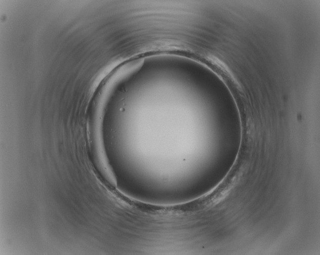 X0000069361081200605192052