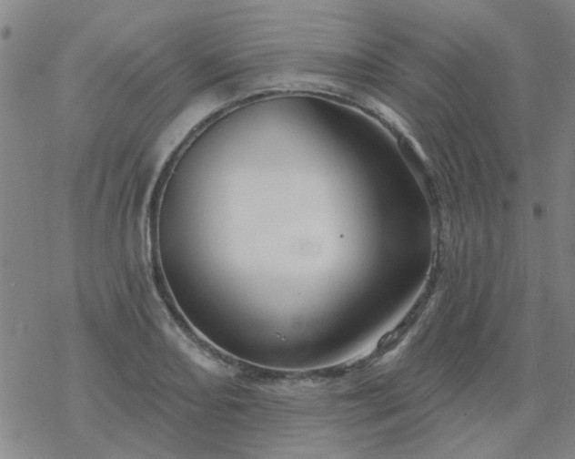 X0000069361082200605192052