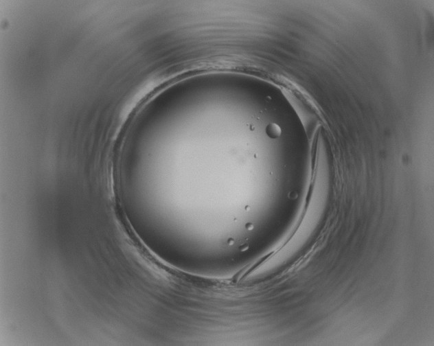 X0000069361083200605192052