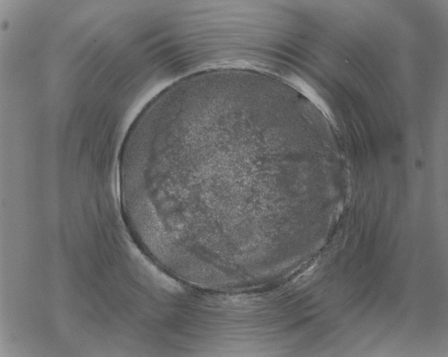 X0000069361084200605192052