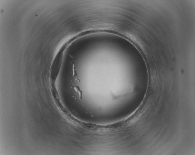 X0000069361085200605192052