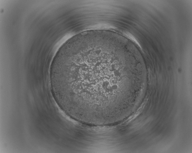 X0000069361087200605192052