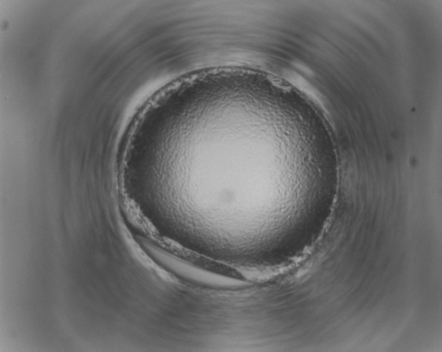 X0000069361088200605192052