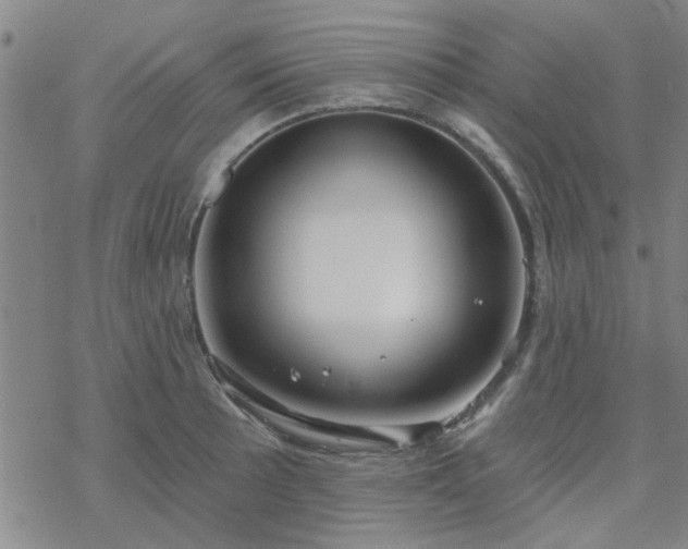 X0000069361089200605192052