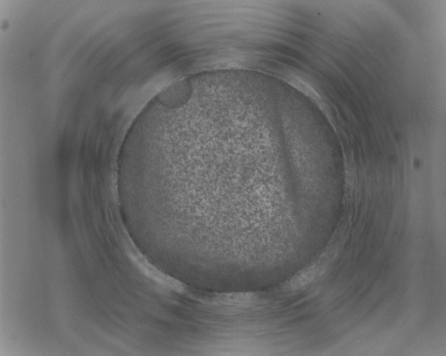 X0000069361090200605192052