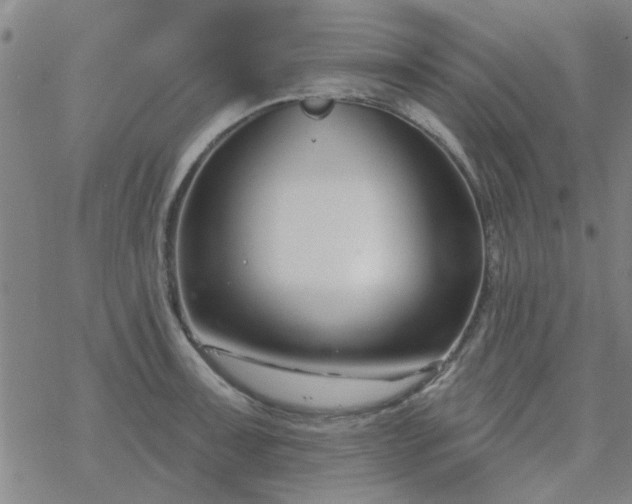 X0000069361091200605192052