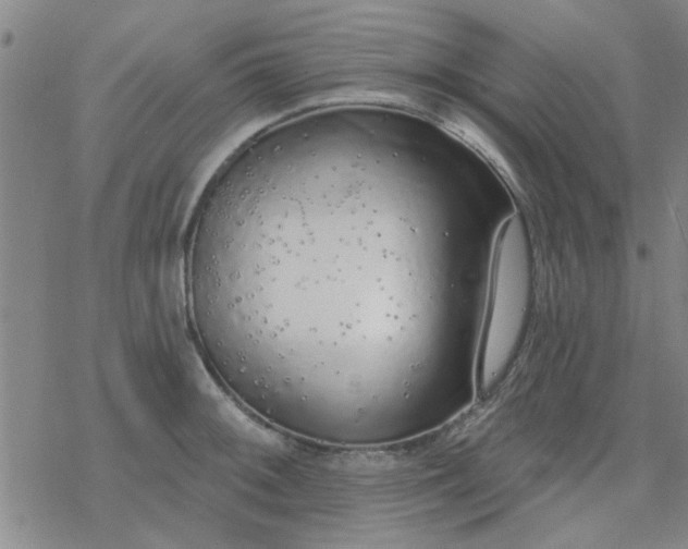 X0000069361092200605192052