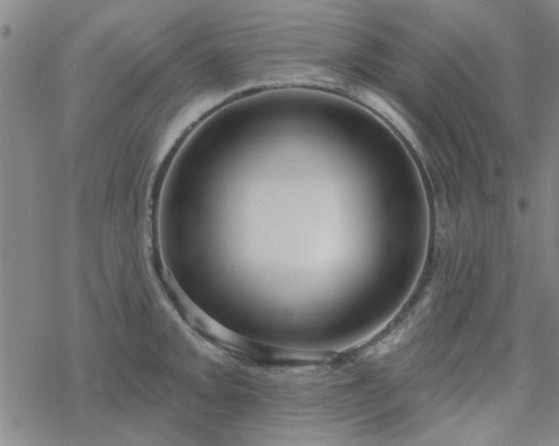 X0000069361093200605192052