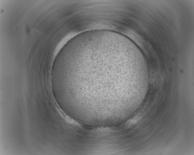 X0000069361094200605192052