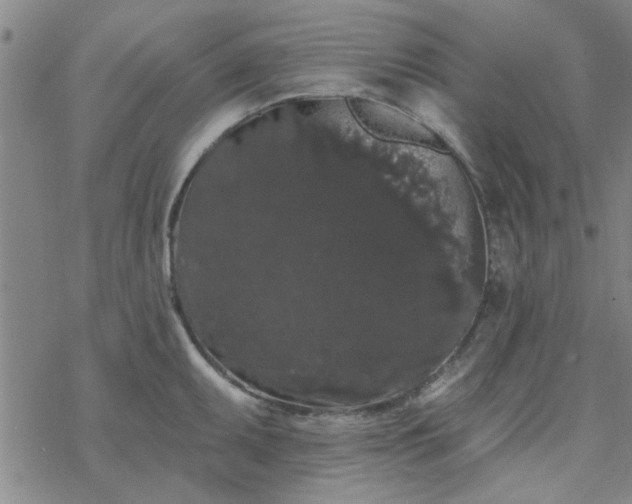 X0000069361095200605192052