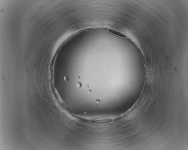 X0000069361096200605192052