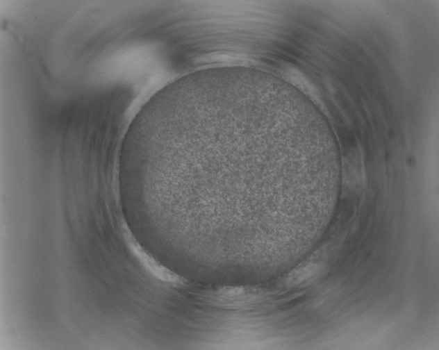 X0000069361098200605192052