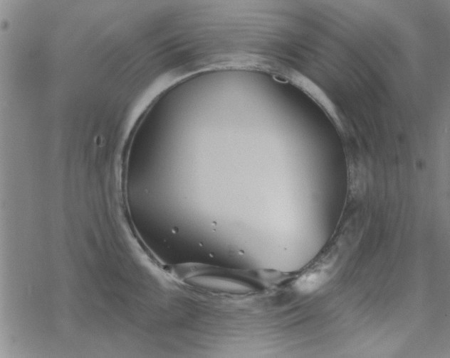 X0000069361099200605192052