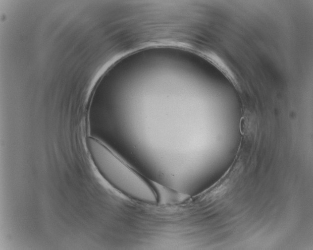 X0000069361100200605192052