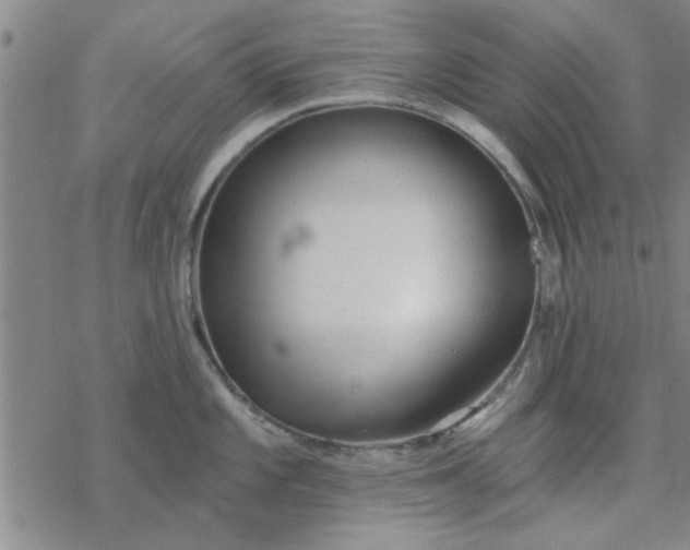 X0000069361101200605192052