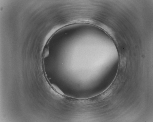 X0000069361102200605192052