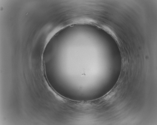 X0000069361103200605192052