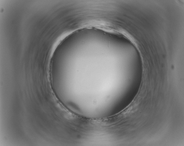 X0000069361104200605192052