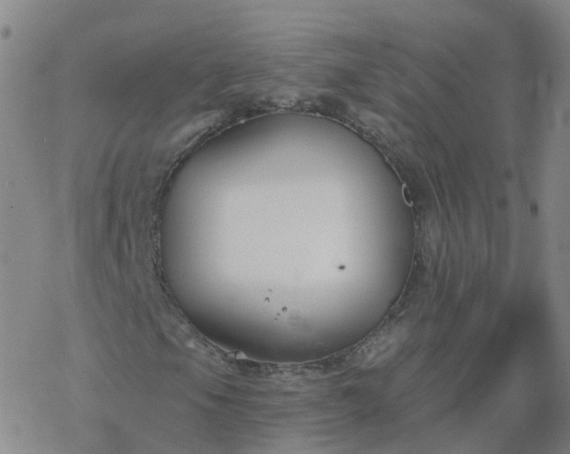 X0000069361105200605192051