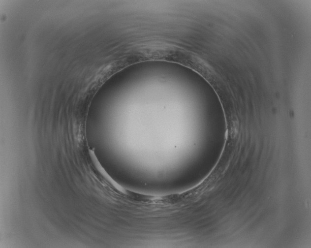 X0000069361108200605192051