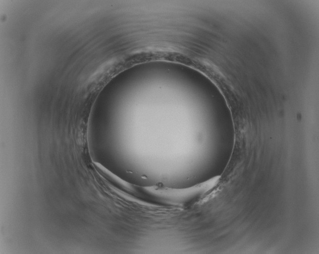 X0000069361110200605192051