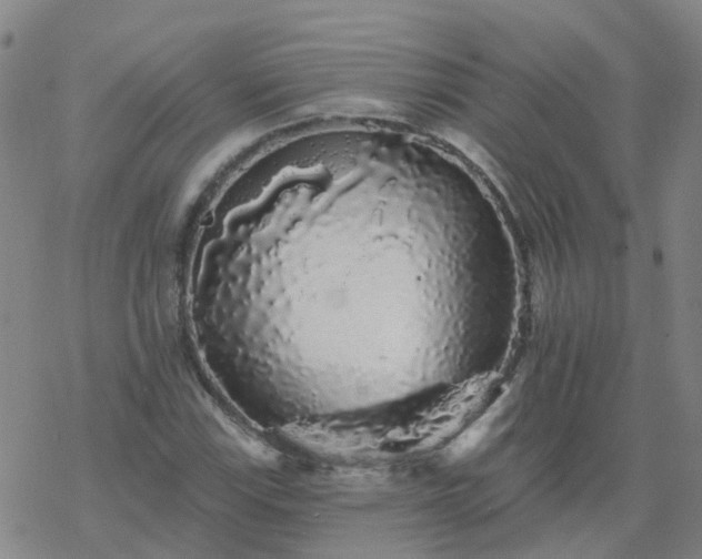 X0000069361115200605192051