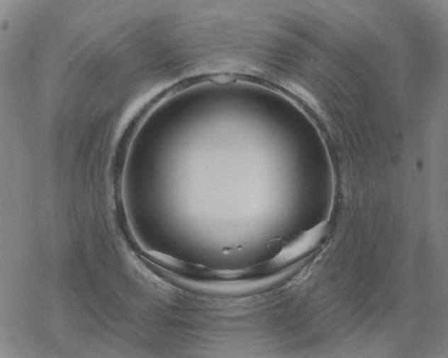 X0000069361120200605192051