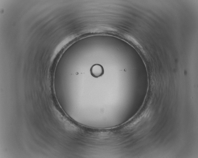 X0000069361122200605192051