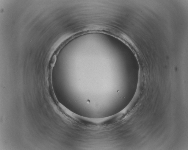 X0000069361124200605192051