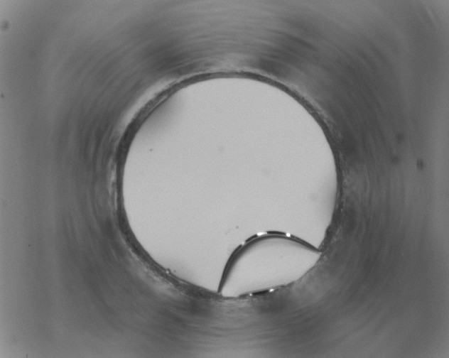 X0000069361126200605192051