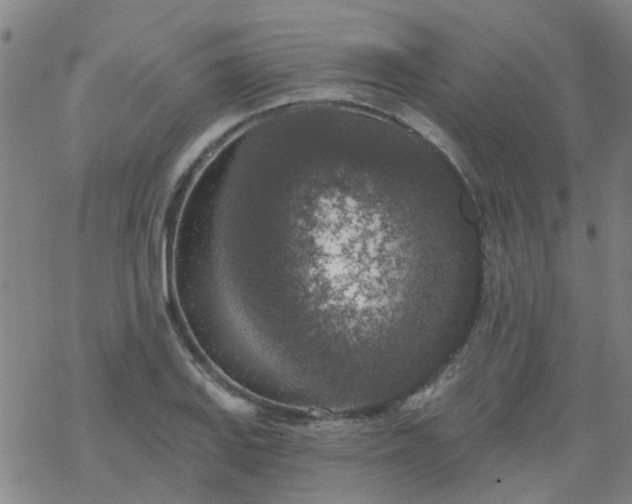 X0000069361127200605192051