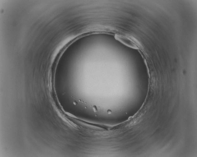 X0000069361128200605192051