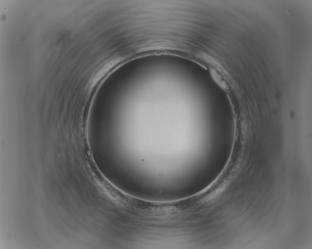 X0000069361129200605192051