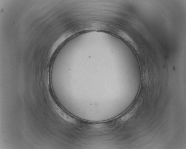 X0000069361130200605192051