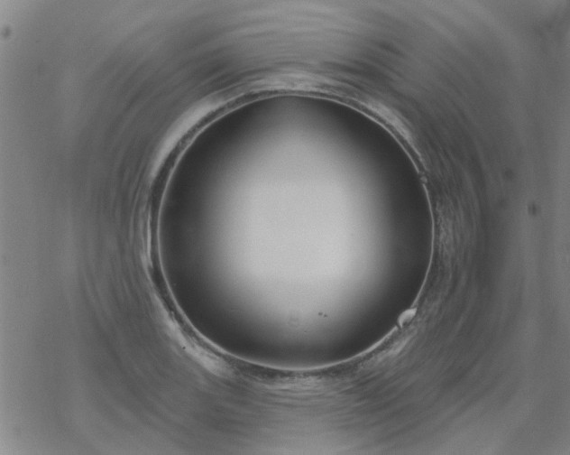 X0000069361131200605192051