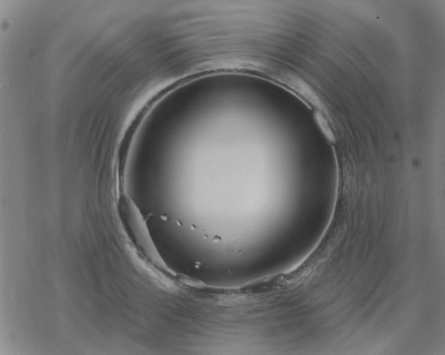 X0000069361132200605192051