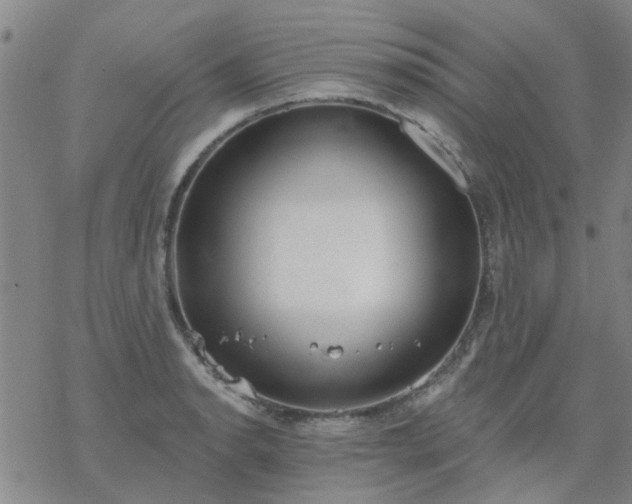 X0000069361134200605192051