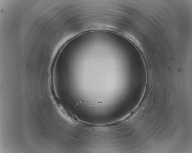 X0000069361136200605192051