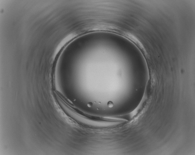 X0000069361138200605192051