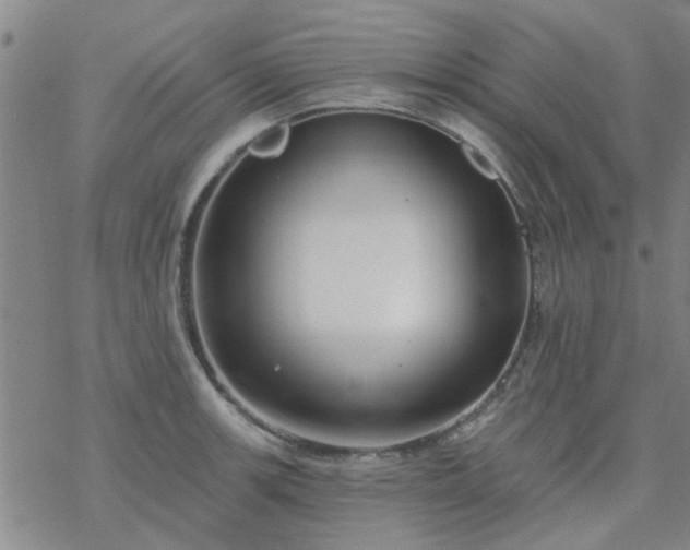 X0000069361139200605192051