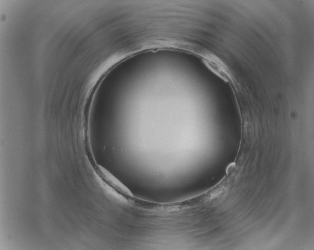 X0000069361143200605192052