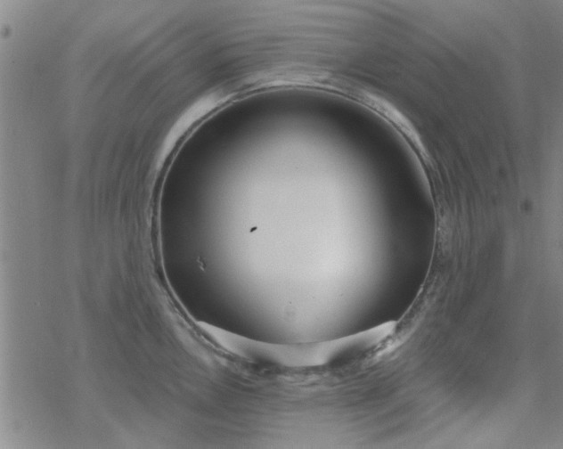 X0000069361146200605192052