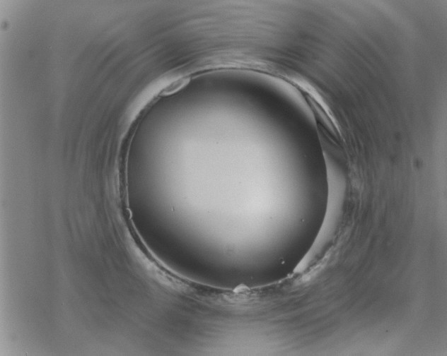 X0000069361147200605192052