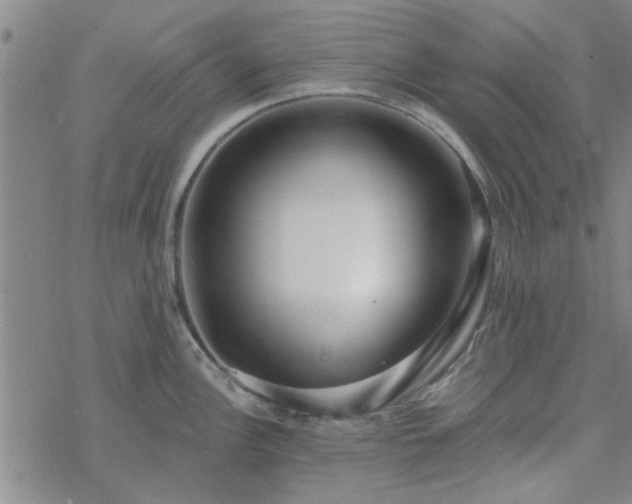 X0000069361148200605192052