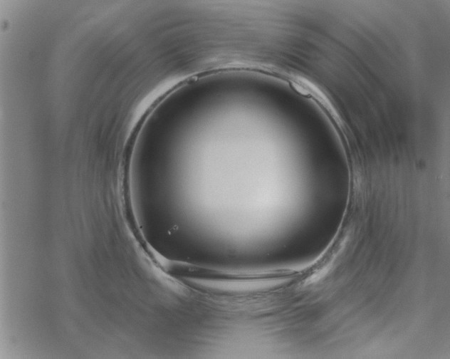 X0000069361149200605192052