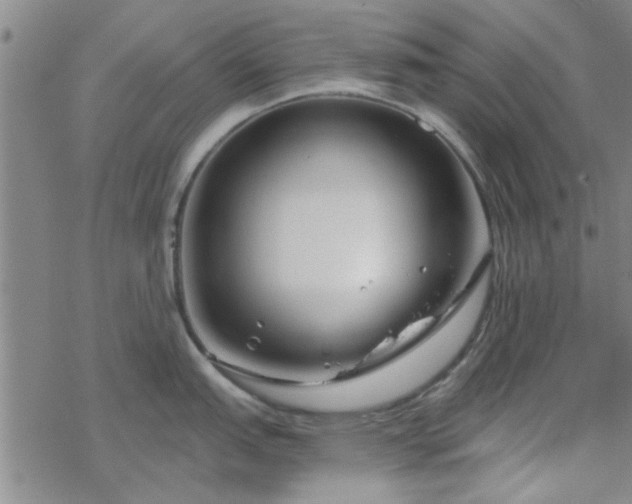 X0000069361151200605192052