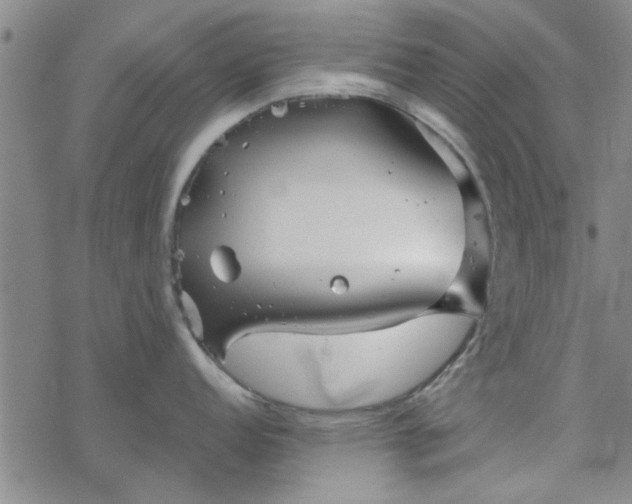 X0000069361152200605192052