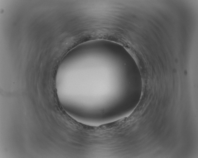 X0000069361153200605192051