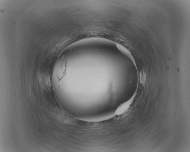 X0000069361155200605192051