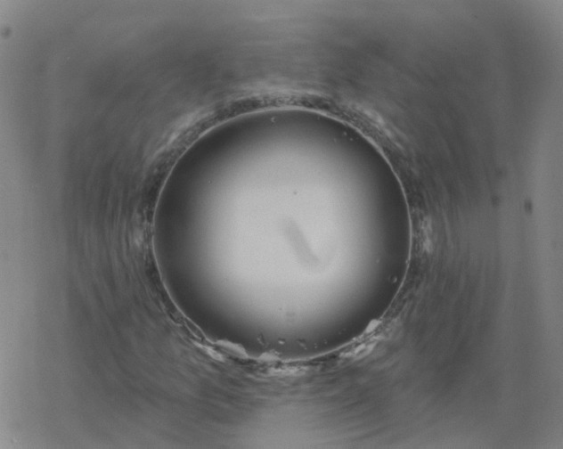 X0000069361157200605192051